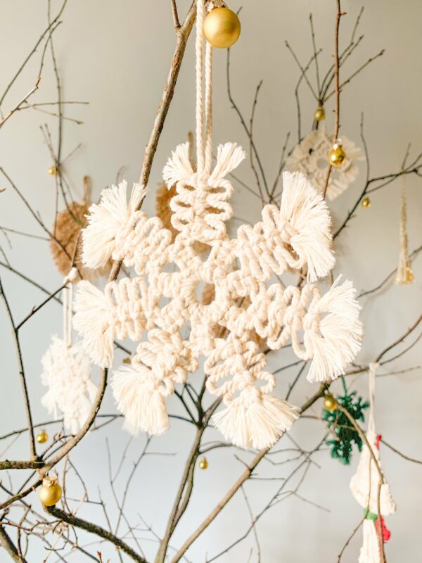 Flocon de Noël atelier Plumbago