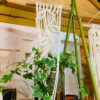 Atelier Plumbago - suspension pour plante "feuilles sur tige"