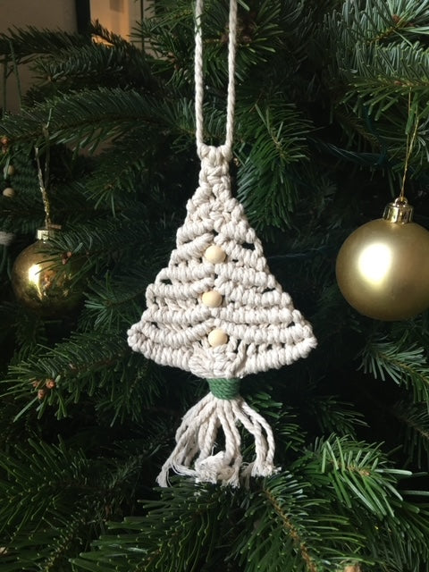 sapin atelier Plumbago