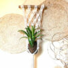 Atelier Plumbago - suspension pour plante