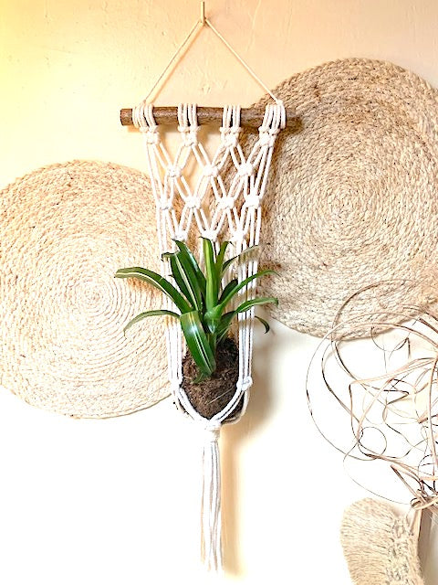 Atelier Plumbago - suspension pour plante