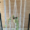 Atelier Plumbago - suspension florale en macramé