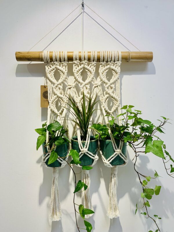 Suspension plante "trio" en fils de coton et jute - Design végétal suspendu