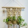 Suspension plante "trio" en fils de coton et jute - Design végétal suspendu