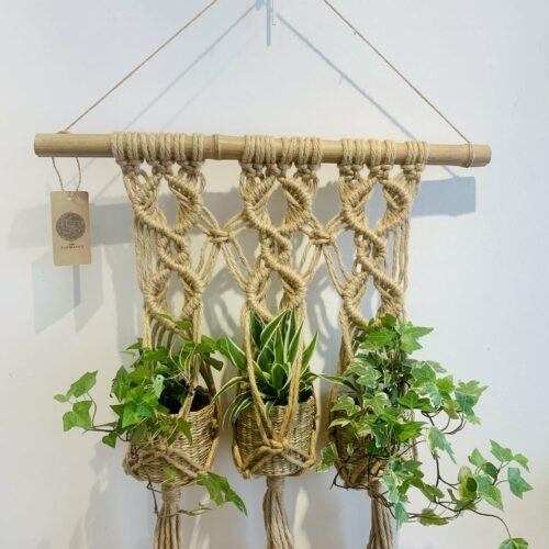 Suspension plante "trio" en fils de coton et jute - Design végétal suspendu