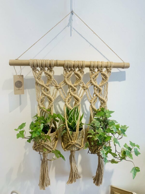 Suspension plante "trio" en fils de coton et jute - Design végétal suspendu