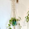 suspensionwavesatelierplumbago Suspension pour plante "waves"