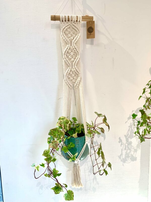 suspensionwavesatelierplumbago Suspension pour plante "waves"
